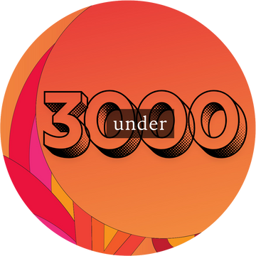 Under ₹3000