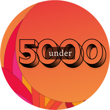 Under ₹5000
